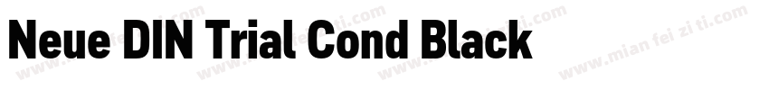 Neue DIN Trial Cond Black字体转换